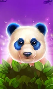 Luck of Panda: Bonus Combo