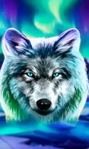 Wolf Fang - Northern Spirits