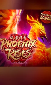 Phoenix Rises